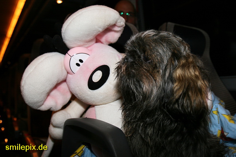 Norden 28.3.09 (1702)